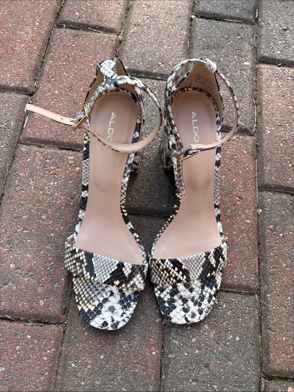 ALDO Snake-Print Ankle Strap Heels in Black & Cream